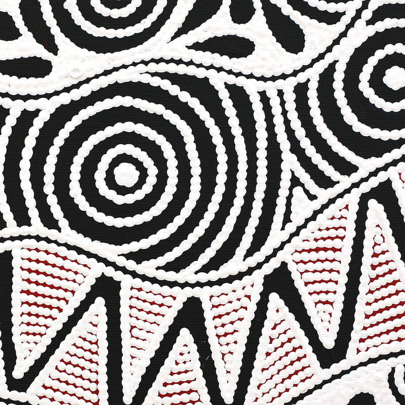 Aboriginal Artwork by Ursula Napangardi Hudson, Pikilyi Jukurrpa (Vaughan Springs Dreaming), 30x30cm