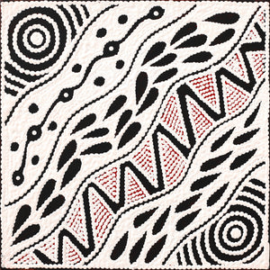 Aboriginal Artwork by Ursula Napangardi Hudson, Pikilyi Jukurrpa (Vaughan Springs Dreaming), 30x30cm - ART ARK®