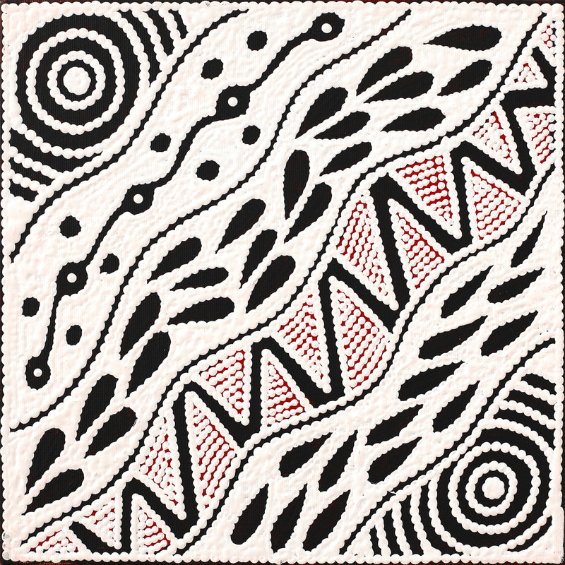 Aboriginal Artwork by Ursula Napangardi Hudson, Pikilyi Jukurrpa (Vaughan Springs Dreaming), 30x30cm