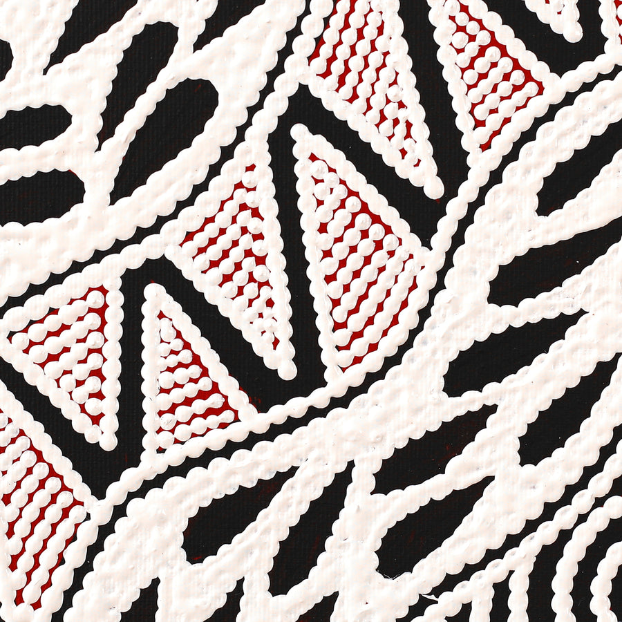 Aboriginal Artwork by Ursula Napangardi Hudson, Pikilyi Jukurrpa (Vaughan Springs Dreaming), 30x30cm