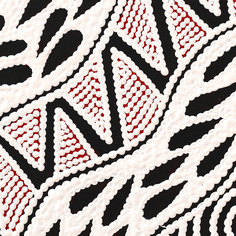 Aboriginal Artwork by Ursula Napangardi Hudson, Pikilyi Jukurrpa (Vaughan Springs Dreaming), 30x30cm