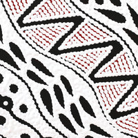 Aboriginal Artwork by Ursula Napangardi Hudson, Pikilyi Jukurrpa (Vaughan Springs Dreaming), 30x30cm