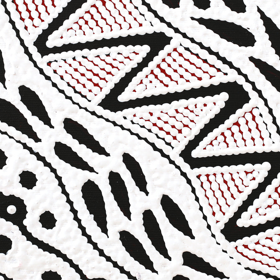 Aboriginal Artwork by Ursula Napangardi Hudson, Pikilyi Jukurrpa (Vaughan Springs Dreaming), 30x30cm