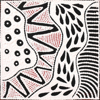 Aboriginal Artwork by Ursula Napangardi Hudson, Pikilyi Jukurrpa (Vaughan Springs Dreaming), 30x30cm