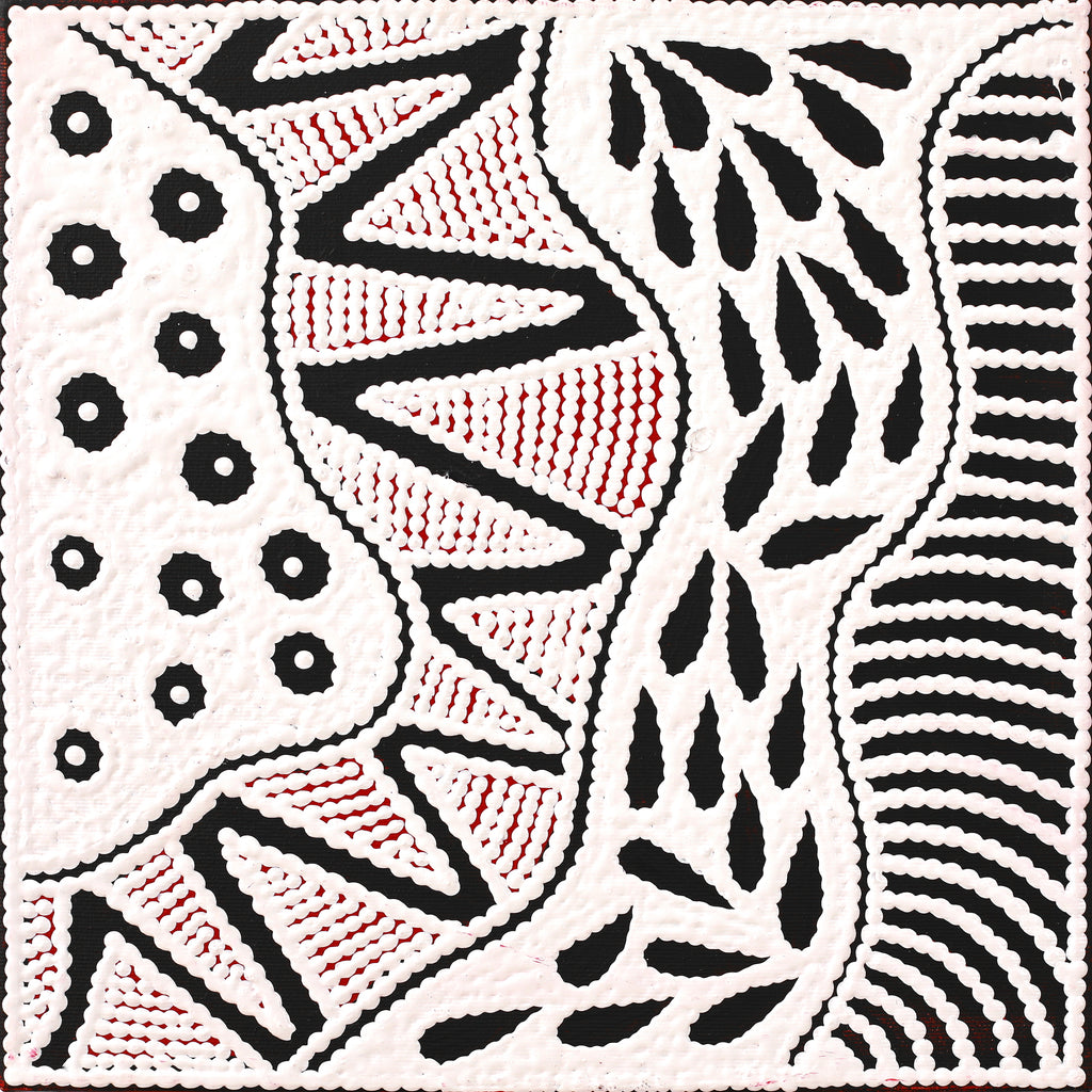 Aboriginal Art by Ursula Napangardi Hudson, Pikilyi Jukurrpa (Vaughan Springs Dreaming), 30x30cm - ART ARK®