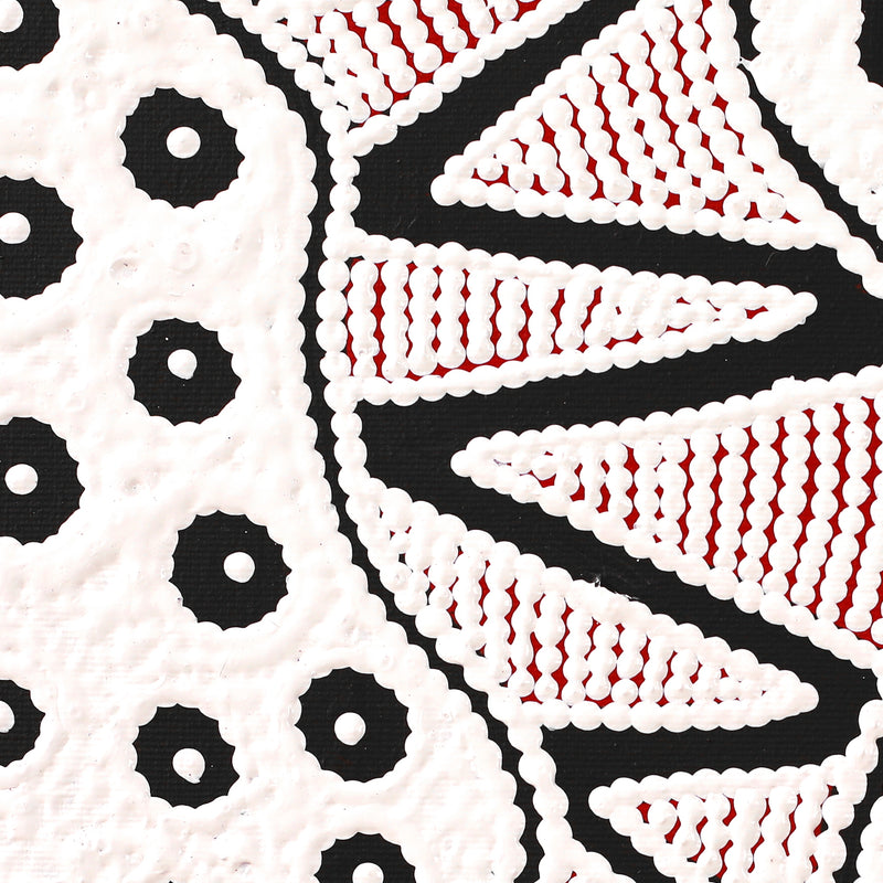 Aboriginal Artwork by Ursula Napangardi Hudson, Pikilyi Jukurrpa (Vaughan Springs Dreaming), 30x30cm
