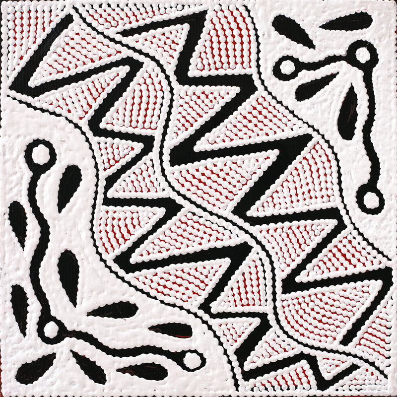 Aboriginal Artwork by Ursula Napangardi Hudson, Pikilyi Jukurrpa (Vaughan Springs Dreaming), 30x30cm