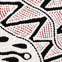 Aboriginal Artwork by Ursula Napangardi Hudson, Pikilyi Jukurrpa (Vaughan Springs Dreaming), 30x30cm