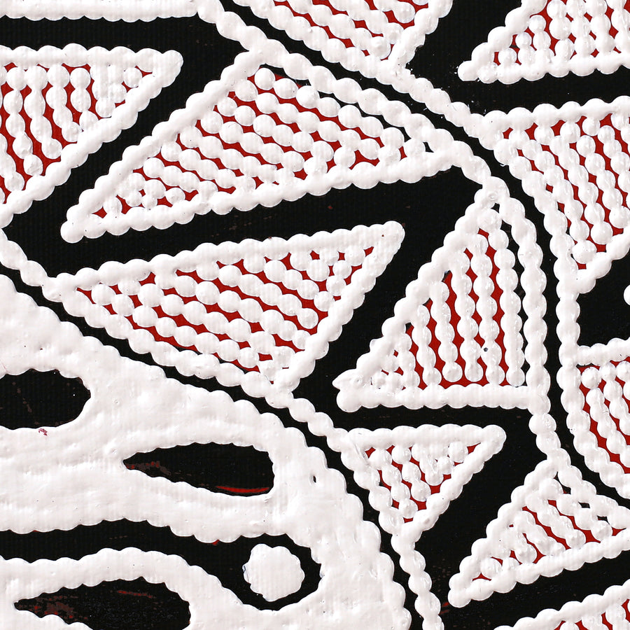 Aboriginal Artwork by Ursula Napangardi Hudson, Pikilyi Jukurrpa (Vaughan Springs Dreaming), 30x30cm
