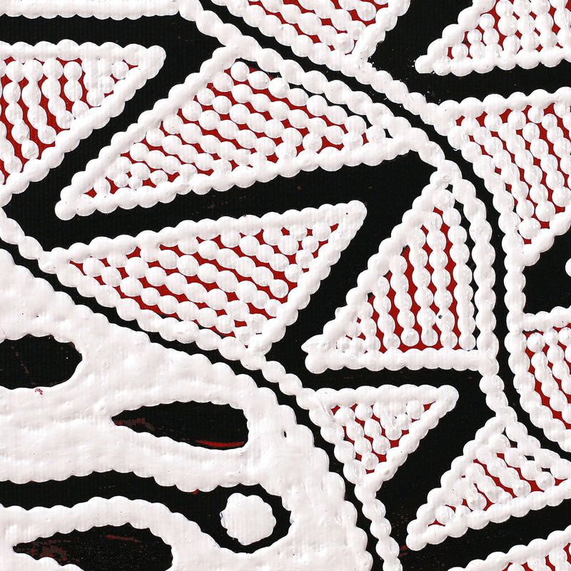 Aboriginal Artwork by Ursula Napangardi Hudson, Pikilyi Jukurrpa (Vaughan Springs Dreaming), 30x30cm