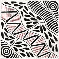 Aboriginal Artwork by Ursula Napangardi Hudson, Pikilyi Jukurrpa (Vaughan Springs Dreaming), 30x30cm