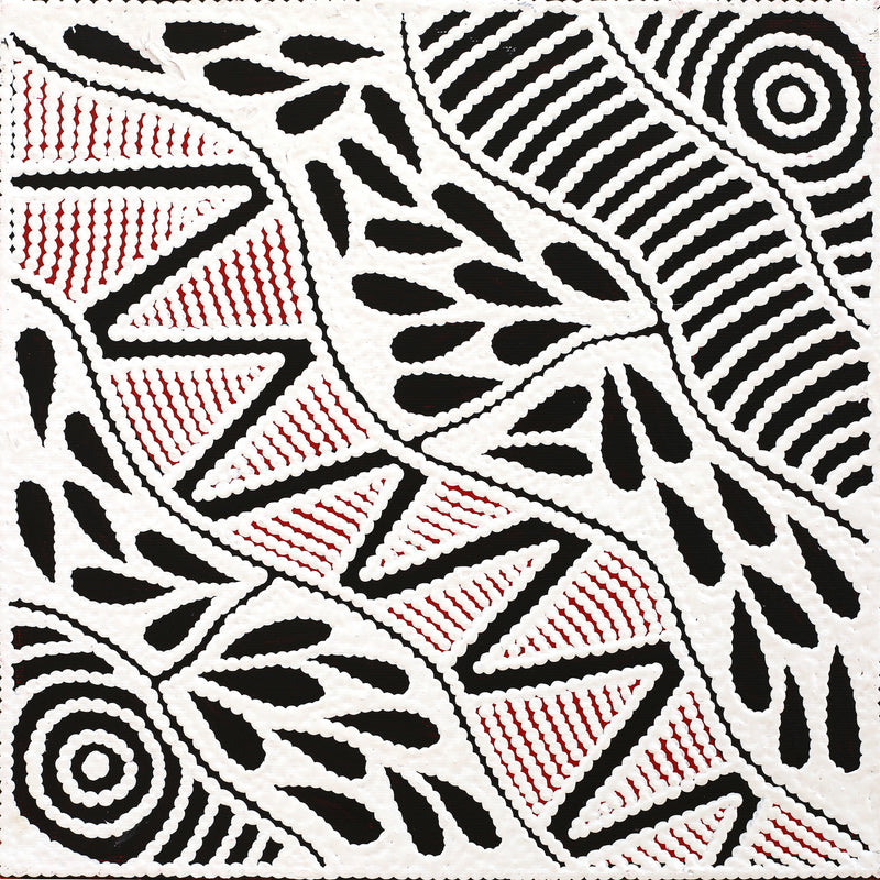 Aboriginal Artwork by Ursula Napangardi Hudson, Pikilyi Jukurrpa (Vaughan Springs Dreaming), 30x30cm