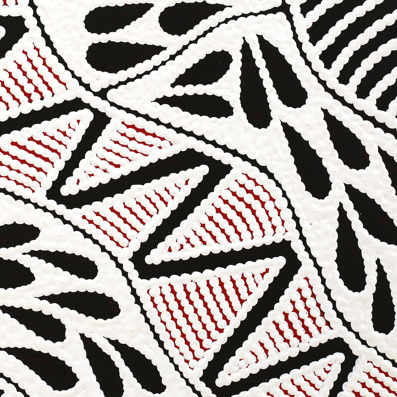 Aboriginal Artwork by Ursula Napangardi Hudson, Pikilyi Jukurrpa (Vaughan Springs Dreaming), 30x30cm
