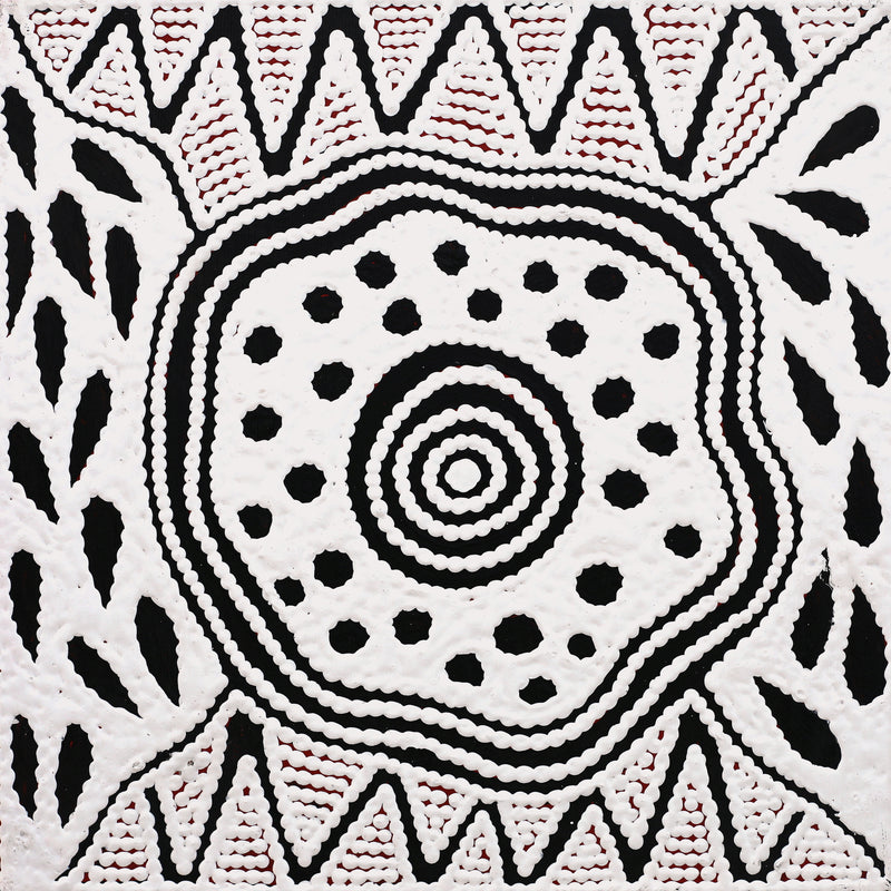 Aboriginal Artwork by Ursula Napangardi Hudson, Pikilyi Jukurrpa (Vaughan Springs Dreaming), 30x30cm