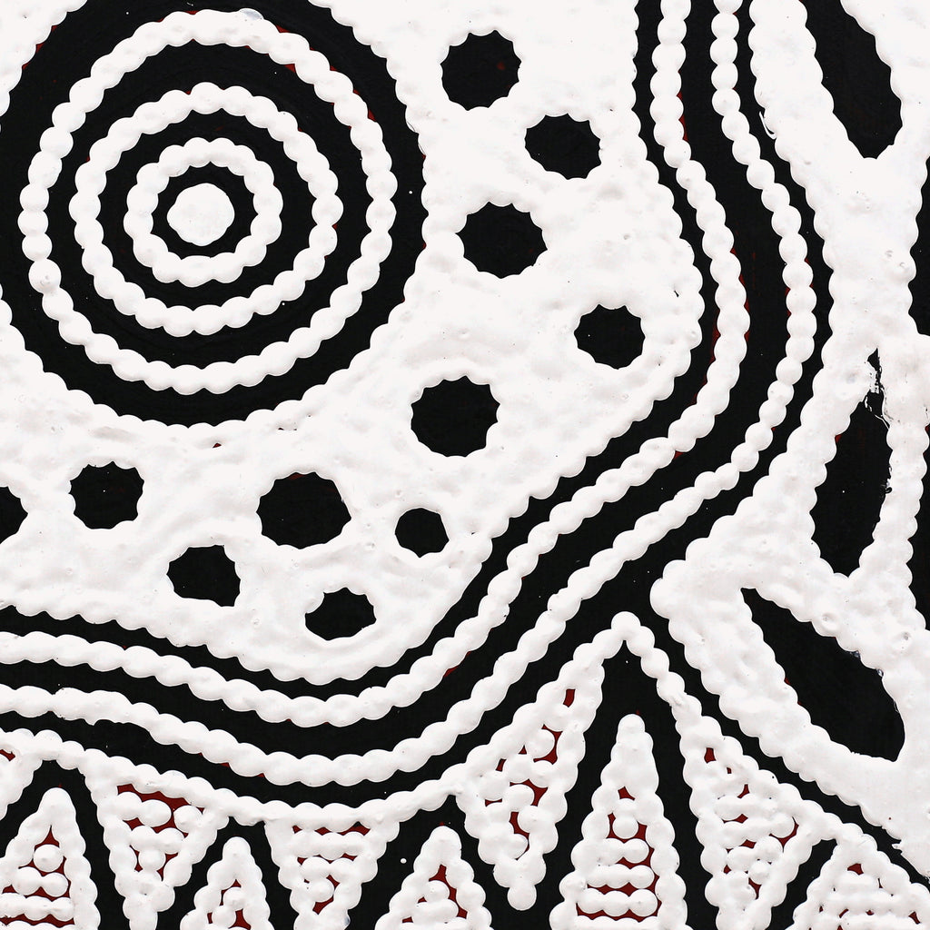 Aboriginal Art by Ursula Napangardi Hudson, Pikilyi Jukurrpa (Vaughan Springs Dreaming), 30x30cm - ART ARK®