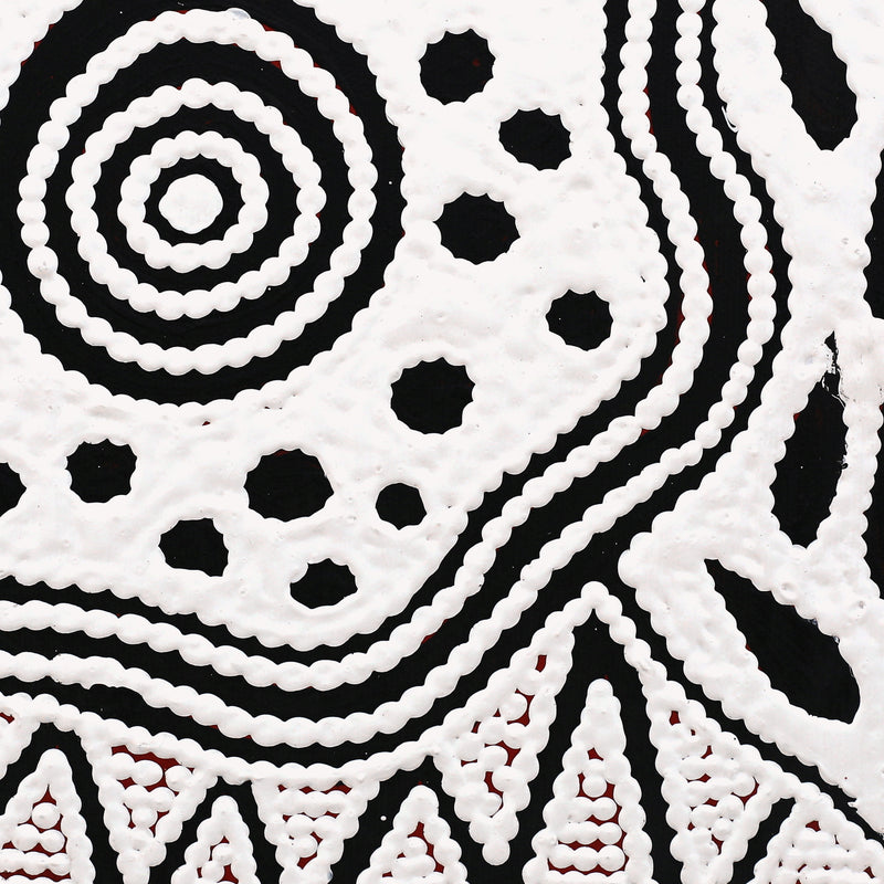 Aboriginal Artwork by Ursula Napangardi Hudson, Pikilyi Jukurrpa (Vaughan Springs Dreaming), 30x30cm