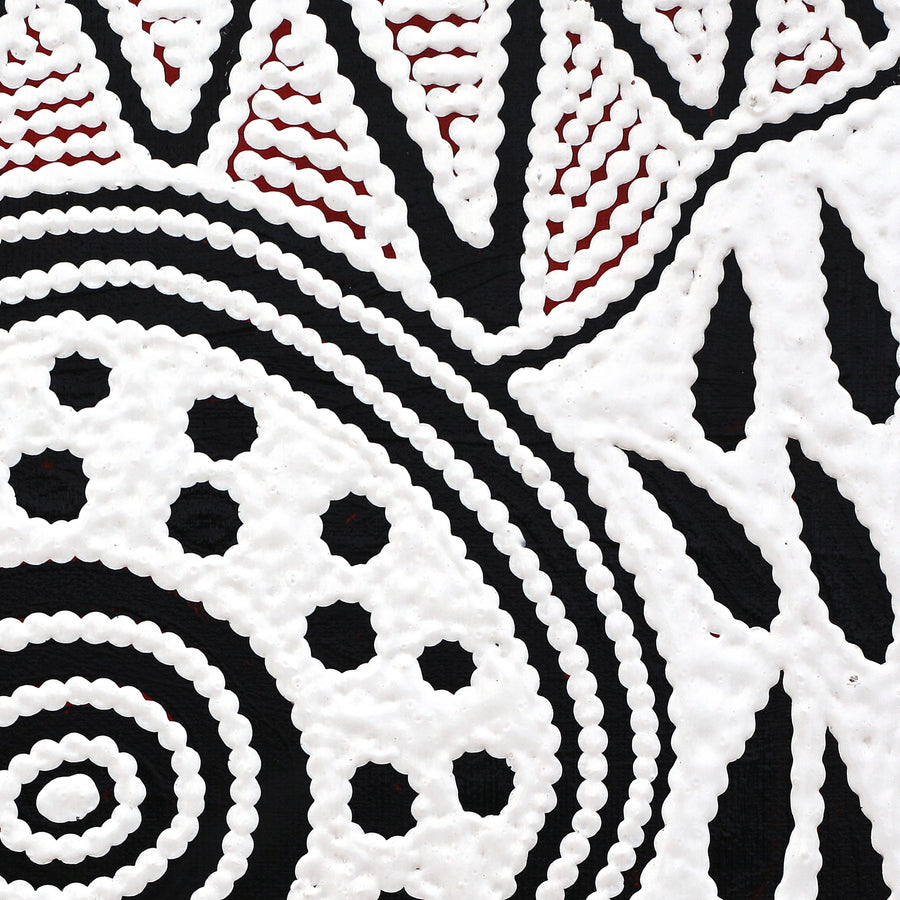 Aboriginal Artwork by Ursula Napangardi Hudson, Pikilyi Jukurrpa (Vaughan Springs Dreaming), 30x30cm