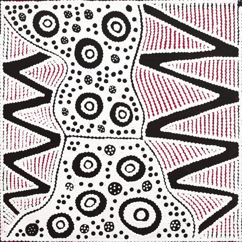 Aboriginal Artwork by Ursula Napangardi Hudson, Pikilyi Jukurrpa (Vaughan Springs Dreaming), 30x30cm