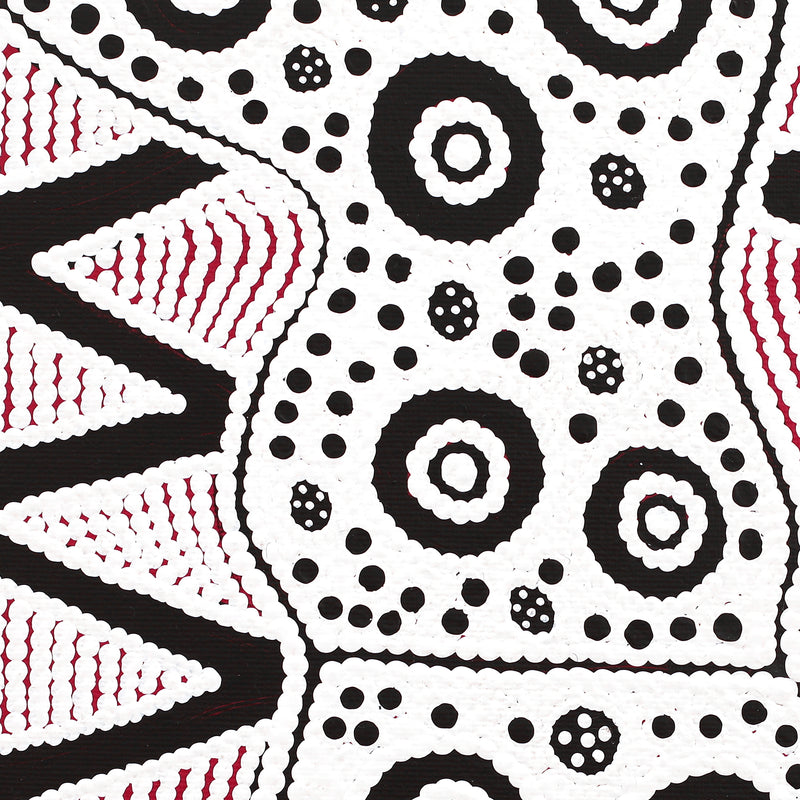 Aboriginal Artwork by Ursula Napangardi Hudson, Pikilyi Jukurrpa (Vaughan Springs Dreaming), 30x30cm