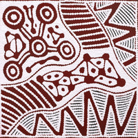 Aboriginal Artwork by Ursula Napangardi Hudson, Pikilyi Jukurrpa (Vaughan Springs Dreaming), 30x30cm