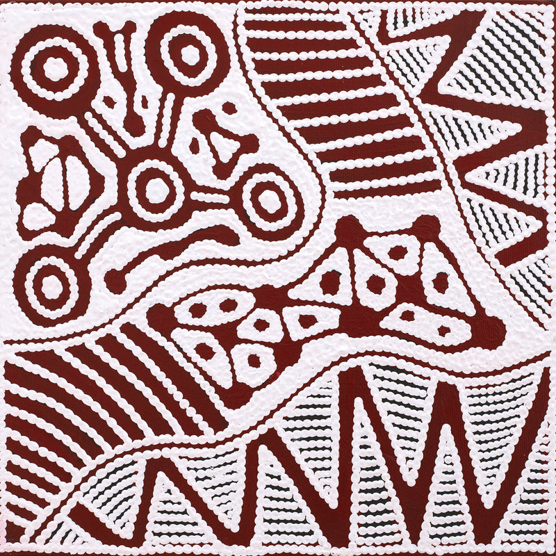 Aboriginal Artwork by Ursula Napangardi Hudson, Pikilyi Jukurrpa (Vaughan Springs Dreaming), 30x30cm