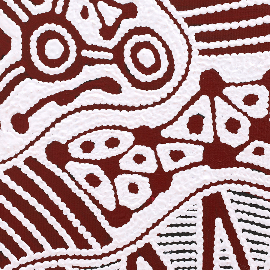 Aboriginal Artwork by Ursula Napangardi Hudson, Pikilyi Jukurrpa (Vaughan Springs Dreaming), 30x30cm