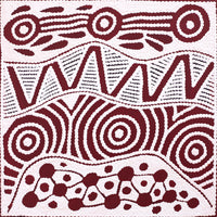Aboriginal Artwork by Ursula Napangardi Hudson, Pikilyi Jukurrpa (Vaughan Springs Dreaming), 30x30cm