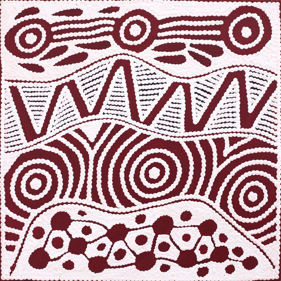 Aboriginal Artwork by Ursula Napangardi Hudson, Pikilyi Jukurrpa (Vaughan Springs Dreaming), 30x30cm
