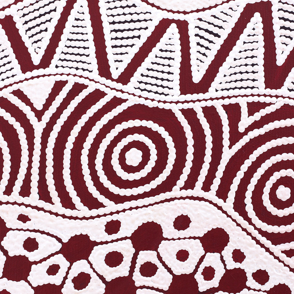 Aboriginal Artwork by Ursula Napangardi Hudson, Pikilyi Jukurrpa (Vaughan Springs Dreaming), 30x30cm