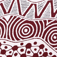 Aboriginal Artwork by Ursula Napangardi Hudson, Pikilyi Jukurrpa (Vaughan Springs Dreaming), 30x30cm