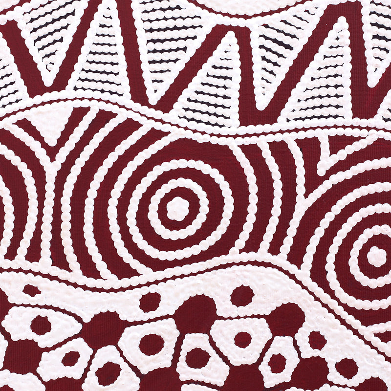 Aboriginal Artwork by Ursula Napangardi Hudson, Pikilyi Jukurrpa (Vaughan Springs Dreaming), 30x30cm