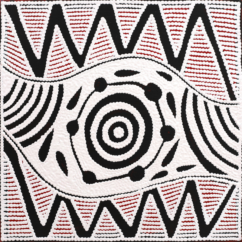 Aboriginal Artwork by Ursula Napangardi Hudson, Pikilyi Jukurrpa (Vaughan Springs Dreaming), 30x30cm