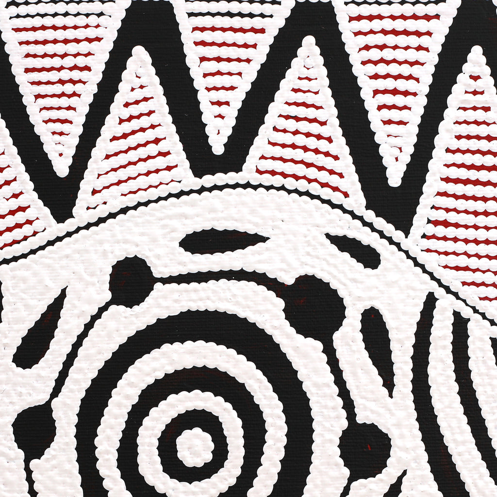 Aboriginal Artwork by Ursula Napangardi Hudson, Pikilyi Jukurrpa (Vaughan Springs Dreaming), 30x30cm