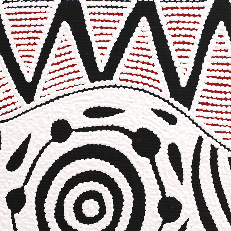 Aboriginal Artwork by Ursula Napangardi Hudson, Pikilyi Jukurrpa (Vaughan Springs Dreaming), 30x30cm