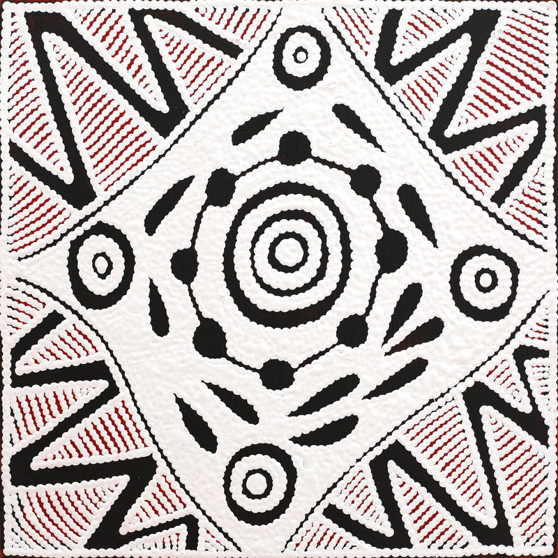 Aboriginal Artwork by Ursula Napangardi Hudson, Pikilyi Jukurrpa (Vaughan Springs Dreaming), 30x30cm