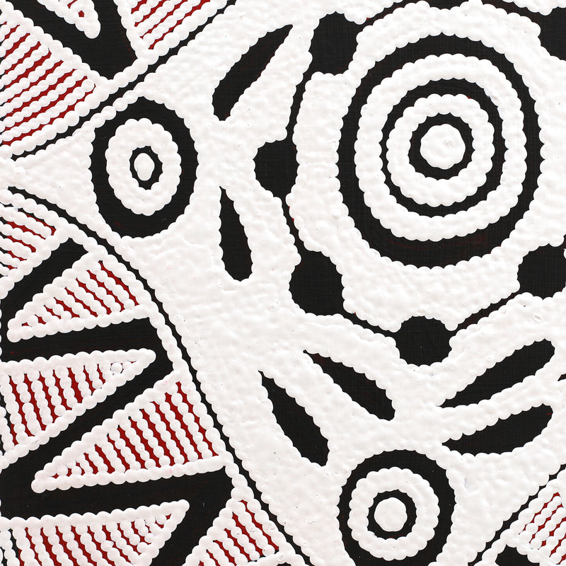 Aboriginal Artwork by Ursula Napangardi Hudson, Pikilyi Jukurrpa (Vaughan Springs Dreaming), 30x30cm
