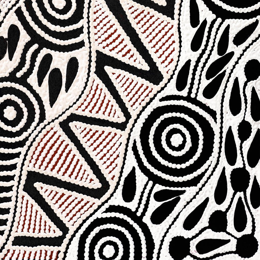 Aboriginal Artwork by Ursula Napangardi Hudson, Pikilyi Jukurrpa (Vaughan Springs Dreaming), 61x30cm