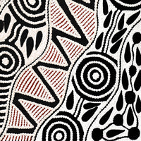 Aboriginal Artwork by Ursula Napangardi Hudson, Pikilyi Jukurrpa (Vaughan Springs Dreaming), 61x30cm