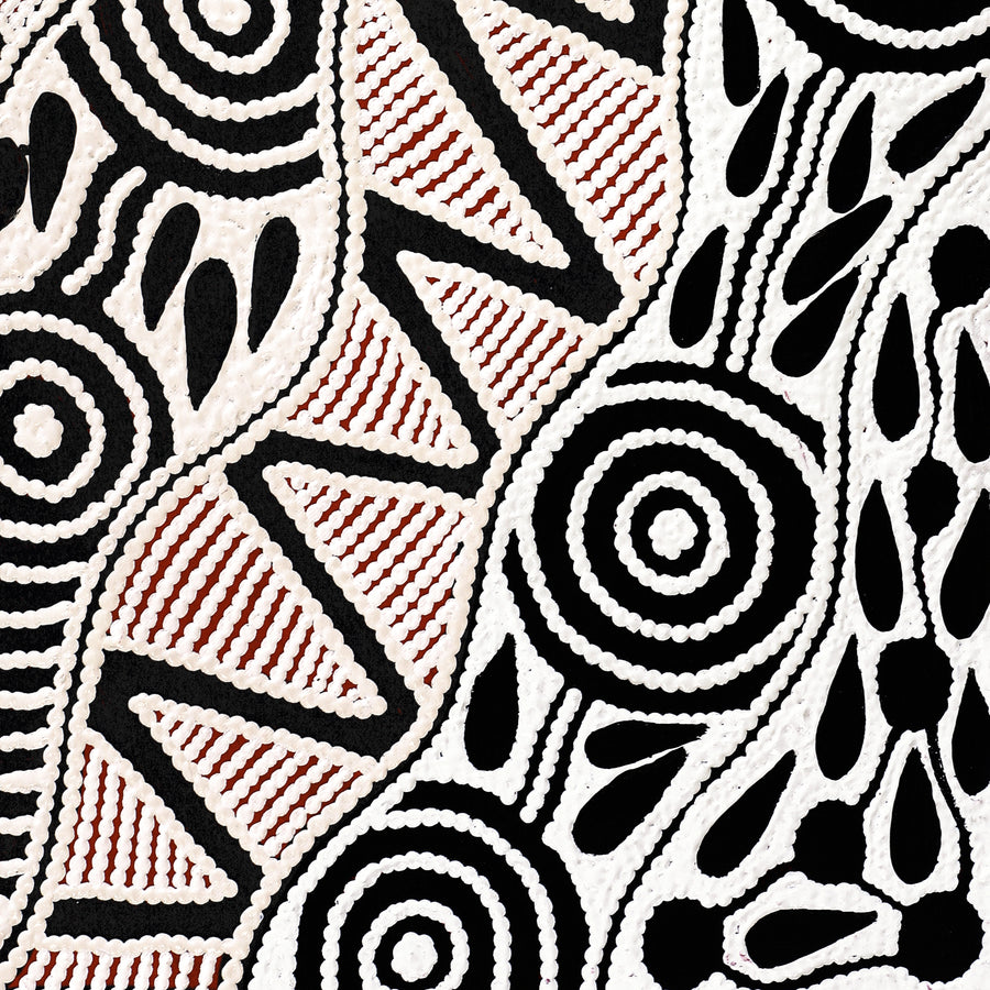 Aboriginal Artwork by Ursula Napangardi Hudson, Pikilyi Jukurrpa (Vaughan Springs Dreaming), 61x30cm