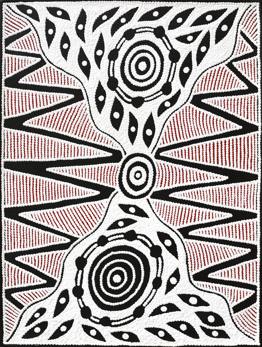 Aboriginal Artwork by Ursula Napangardi Hudson, Pikilyi Jukurrpa (Vaughan Springs Dreaming), 61x46cm