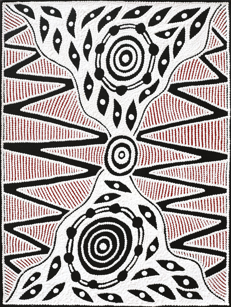 Aboriginal Artwork by Ursula Napangardi Hudson, Pikilyi Jukurrpa (Vaughan Springs Dreaming), 61x46cm
