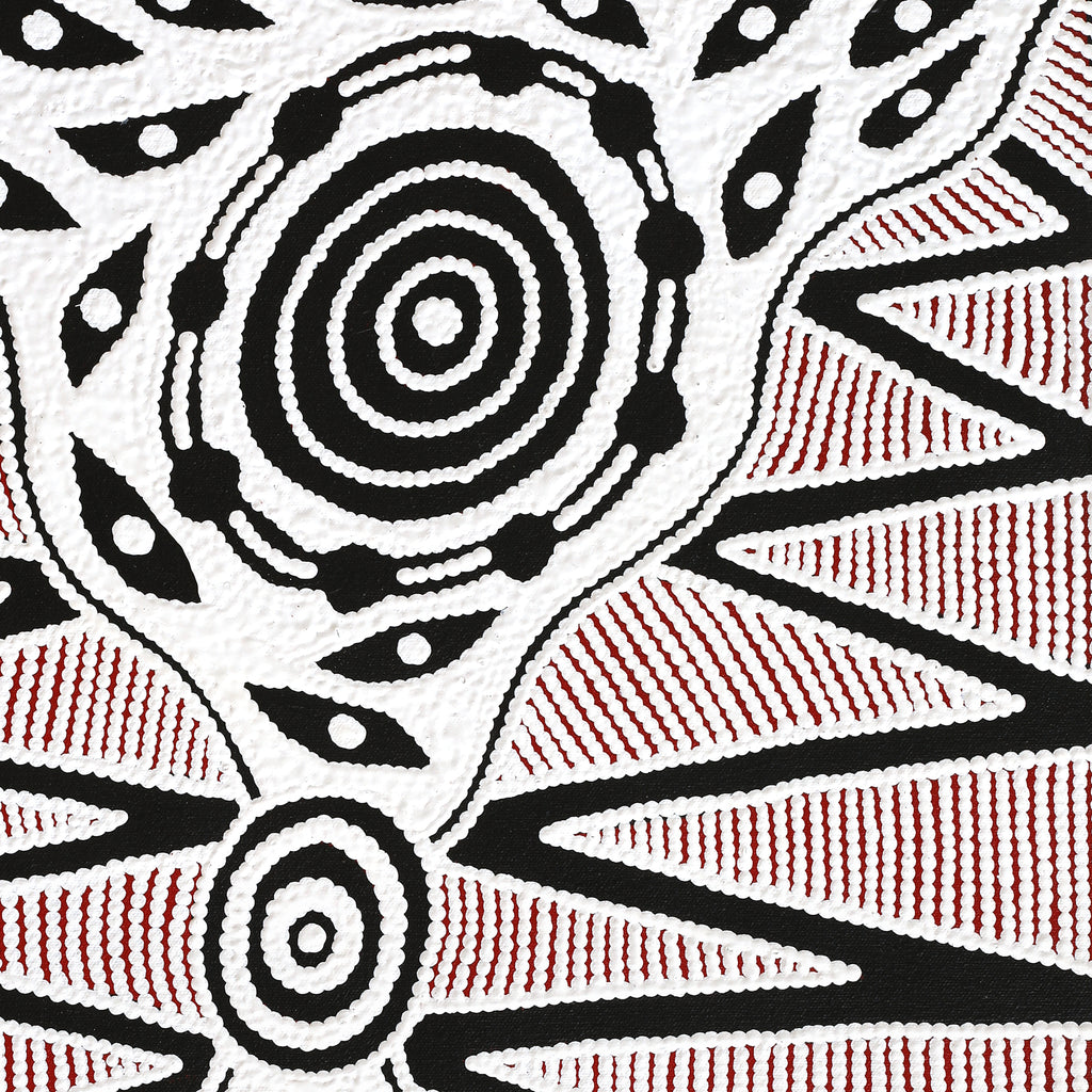 Aboriginal Artwork by Ursula Napangardi Hudson, Pikilyi Jukurrpa (Vaughan Springs Dreaming), 61x46cm