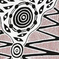 Aboriginal Artwork by Ursula Napangardi Hudson, Pikilyi Jukurrpa (Vaughan Springs Dreaming), 61x46cm