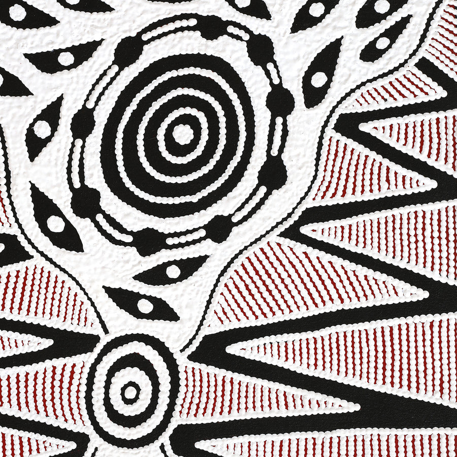 Aboriginal Artwork by Ursula Napangardi Hudson, Pikilyi Jukurrpa (Vaughan Springs Dreaming), 61x46cm