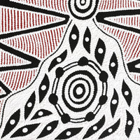 Aboriginal Artwork by Ursula Napangardi Hudson, Pikilyi Jukurrpa (Vaughan Springs Dreaming), 61x46cm