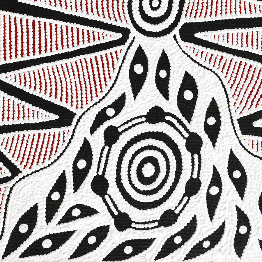 Aboriginal Artwork by Ursula Napangardi Hudson, Pikilyi Jukurrpa (Vaughan Springs Dreaming), 61x46cm
