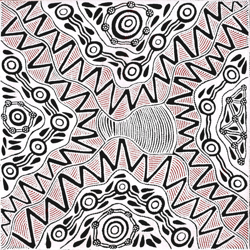 Aboriginal Artwork by Ursula Napangardi Hudson, Pikilyi Jukurrpa (Vaughan Springs Dreaming), 76x76cm