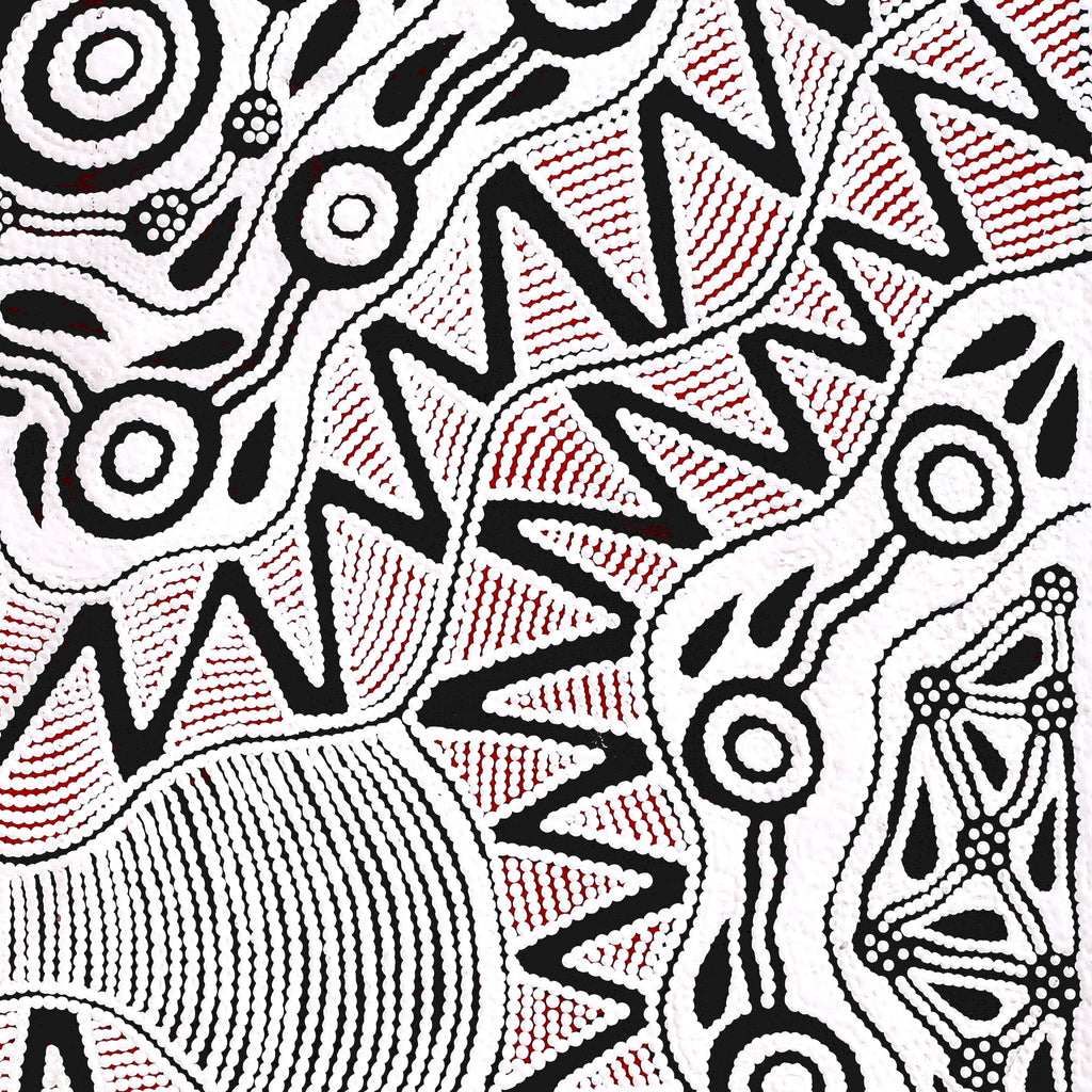 Aboriginal Artwork by Ursula Napangardi Hudson, Pikilyi Jukurrpa (Vaughan Springs Dreaming), 76x76cm