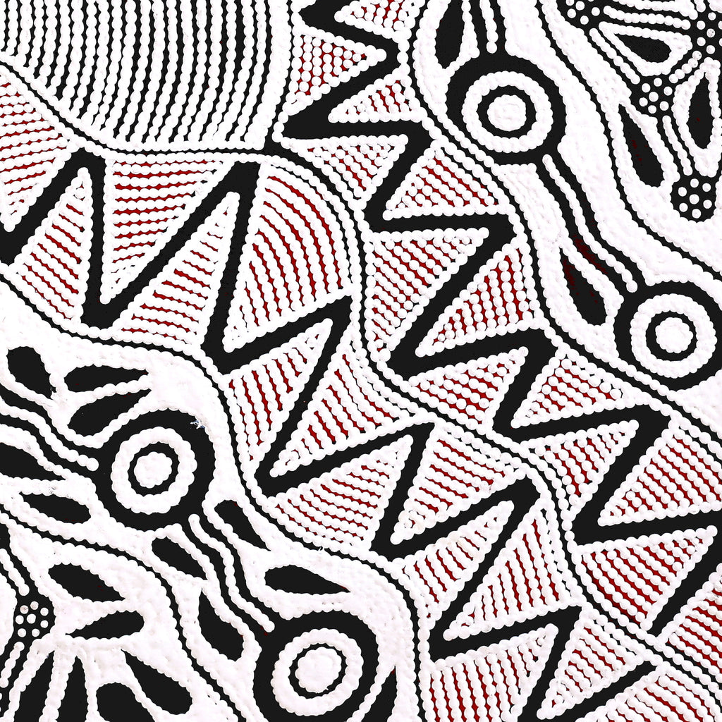 Aboriginal Artwork by Ursula Napangardi Hudson, Pikilyi Jukurrpa (Vaughan Springs Dreaming), 76x76cm