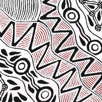 Aboriginal Artwork by Ursula Napangardi Hudson, Pikilyi Jukurrpa (Vaughan Springs Dreaming), 76x76cm